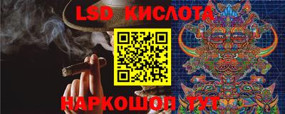 MDMA Гатчина