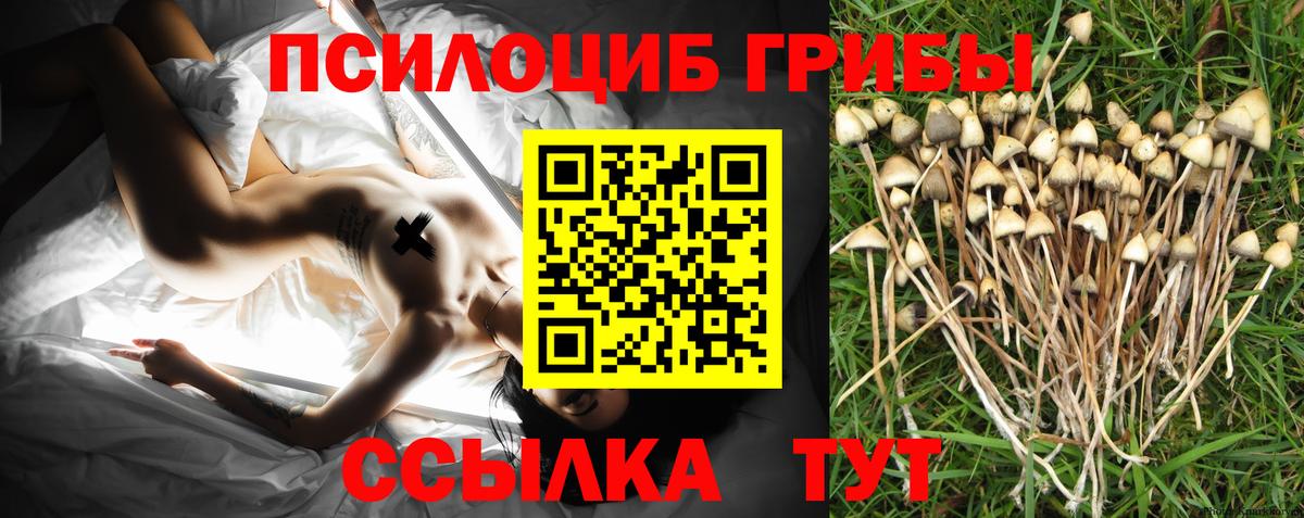 Псилоцибиновые грибы мухоморы Нальчик