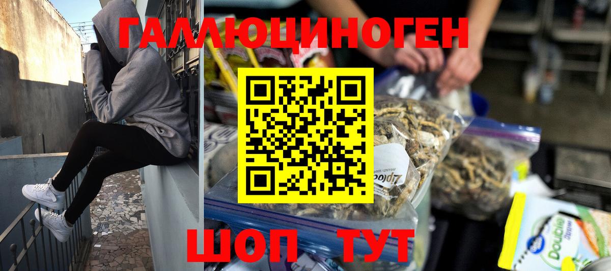 Галлюциногенные грибы GOLDEN TEACHER  Псилоцибиновые грибы прущие грибы  Нальчик  Вход с VPN 